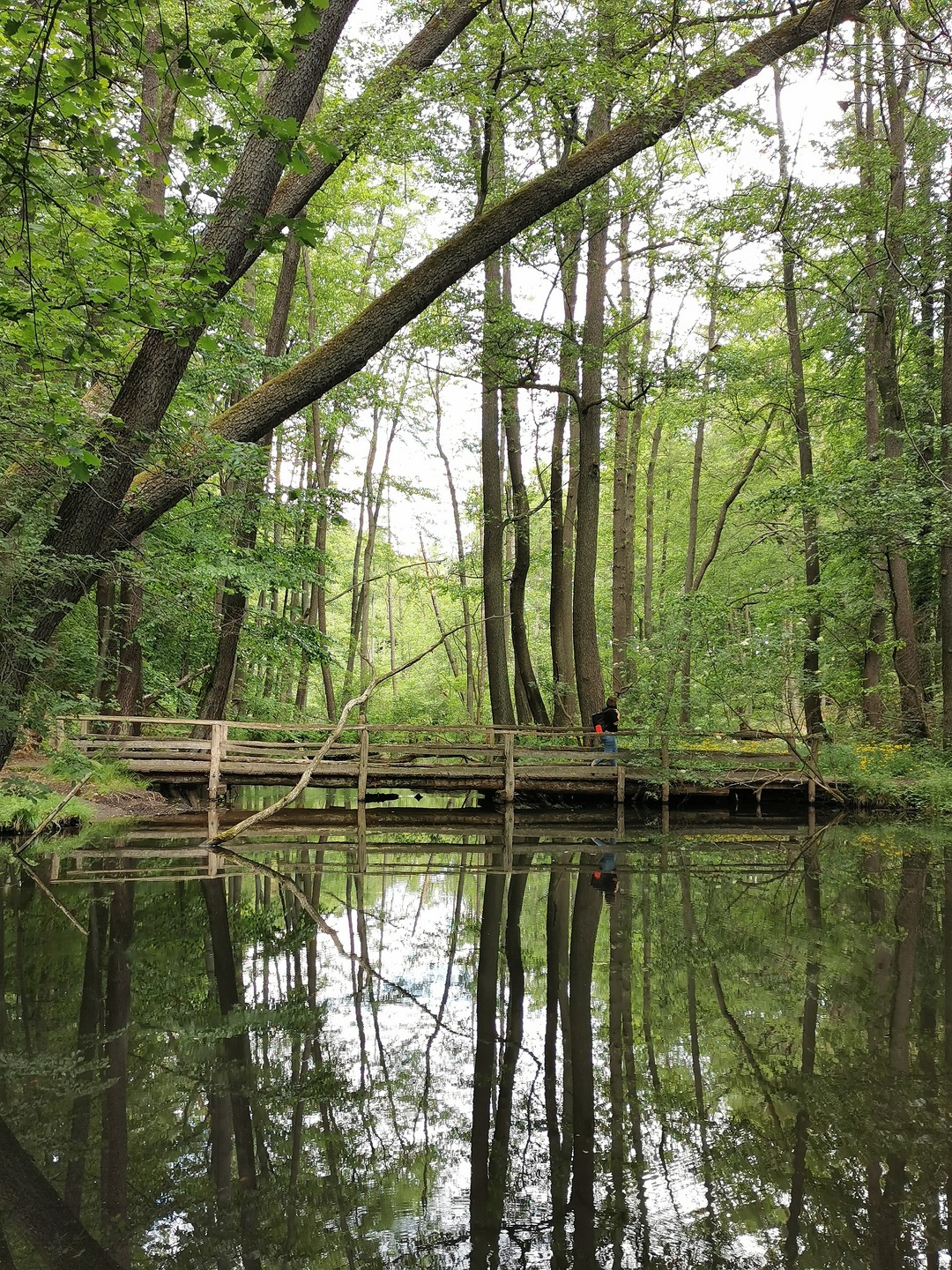 Schlaubetal, Foto: Marie Kessler, Lizenz: Seenland Oder-Spree e.V.